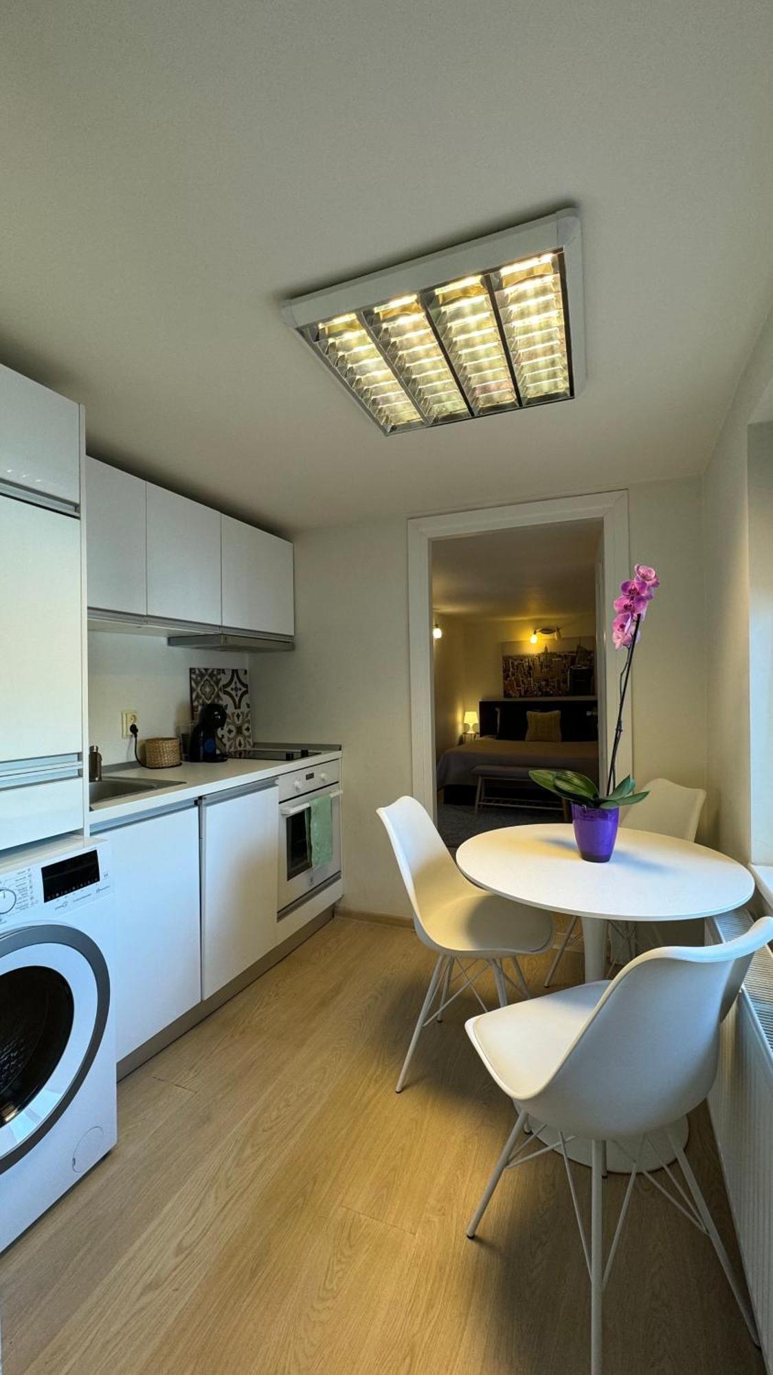 Elite Residence Τιμισοάρα Εξωτερικό φωτογραφία